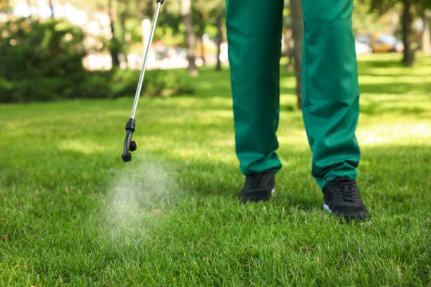 Best Bed Bug Extermination  in Southchase, FL