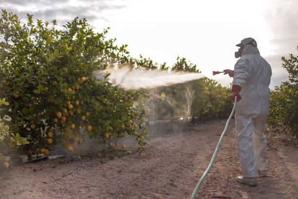 Best Best Pest Control Companies  in Southchase, FL
